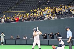 スタンドから声援を送る白樺学園の野球部員と保護者ら