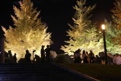 イチョウに親しみナイトマーケット楽しむ 音更~写真特集