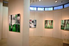 森下良三さん個展、３１日までおびしんギャラリーで　独自技法で生命表現 2