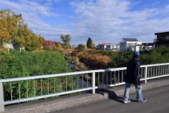 クマがいたとされる稲田橋の北側