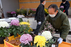審査作品を運び出す帯広菊花同好会の会員ら