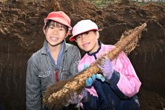 大きなナガイモを折らずに掘り上げて笑顔を見せる児童（２３日午前１０時ごろ、須貝拓也撮影）