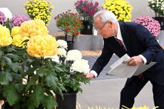 おびひろ菊まつり あす開幕 作品の審査行う