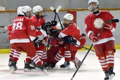 清水がV 白樺学園に5―4 アイスホッケー理事長杯全十勝高校大会