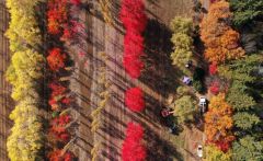 深まる十勝の秋、色づく紅葉～写真特集