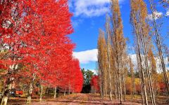 帯広市内で。塩原真撮影