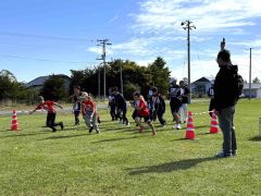 号砲とともに勢いよくスタート