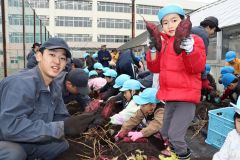 園児が大きなサツマイモを収穫　清水