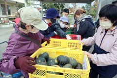 人気を集めたカボチャ販売