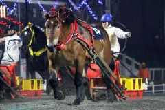 キングフェスタの猛追をしのいだタカラキングダム（ばんえい十勝提供）
