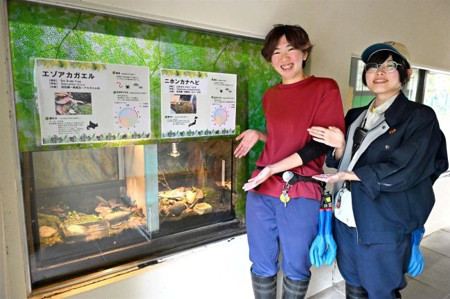 おびひろ動物園がニホンカナヘビとエゾアカガエルを新たに常設展示