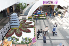 「塔を照らす大輪の華」をテーマにした総合花壇(助川かおる通信員撮影)