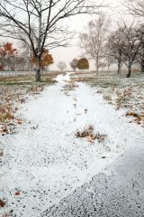 うっすらと雪が積もった士幌高原展望台(28日午前6時半ごろ、山下僚撮影)