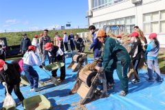 伝統農具で脱穀体験　池田小３年生 2