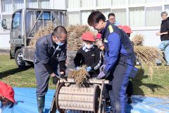 足踏み脱穀機を使って脱穀に挑戦する児童