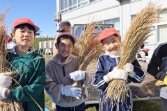 伝統農具で脱穀体験　池田小３年生 4