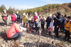 約８０人が４種の苗木５００本を植えた