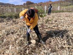 足寄で森づくり体験会 4