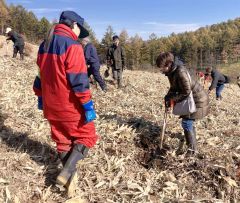 足寄で森づくり体験会 5
