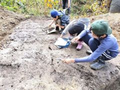 参加者は１２万年前の地層を細かく掘り進めて調査を行った