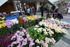 菊苗を買い求める客でにぎわう最終日の会場(29日午前10時半ごろ、須貝拓也撮影)