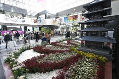 会期に合わせて満開を迎えた総合花壇の菊花(29日午前10時半ごろ、須貝拓也撮影)