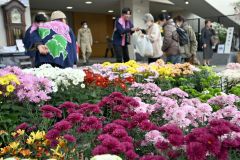 菊苗を買い求める客でにぎわう最終日の会場(29日午前10時半ごろ、須貝拓也撮影)