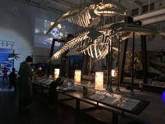 暗い館内でミニ発掘体験やペーパークラフトを楽しんだ来場者