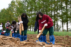 芽室中生徒がナガイモ収穫体験 寒空の下、汗流す 地域農業知ろうと初企画