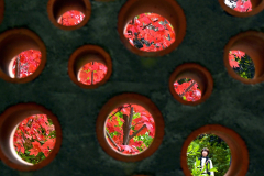 紅葉の“穴場”~ピントきた!