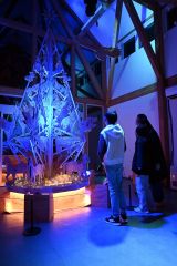 十勝川温泉包む幻想の琥珀色、ナイトマルシェ開幕　１２月７日まで