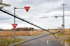 倒木に電線を引っ張られて倒壊した電柱(1日午後1時10分ごろ、道道士幌然別湖線と町道西9線の交差点で。吉原慧撮影)