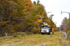 電線に絡んだ倒木を撤去する作業車両(1日午後1時ごろ、道道士幌然別湖線で。吉原慧撮影)