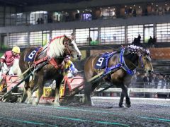 ラポピージュニアが重賞初挑戦でＶ　ばんえい菊花賞