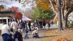 猛暑や事故が影響、おびひろ動物園夏季開園の来園３万人減