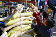 平和園札内店で、漬け物用のダイコン干し（金野和彦撮影）