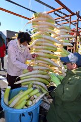 平和園札内店で、漬け物用のダイコン干し（金野和彦撮影）