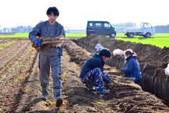 秋の収穫が始まったナガイモ畑(4日午後2時ごろ。帯広市内の前川さん所有の畑で。金野和彦撮影)