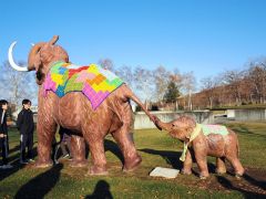 「ナウマンゾウの親子」に恒例のマフラー　幕別・忠類記念館～こぼれ話