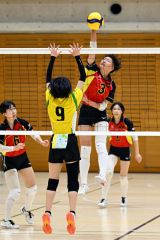 【女子2回戦・帯南商―北海】センターからクイックでスパイクを打つ帯南商の番匠華乃