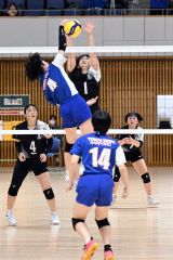 【女子2回戦・白樺学園―東海札幌】相手のクイック攻撃をブロックで防ぐ白樺学園の伊井田光浬