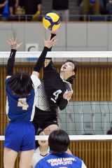 【女子2回戦・白樺学園―東海札幌】打点の高いスパイクを放つ白樺学園の野澤美羽主将