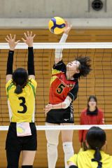 帯南商女子が３回戦進出　白樺学園男女、帯三条は２回戦敗退　春高校バレー道代表決定戦