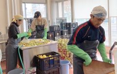 足寄産の無農薬・無肥料リンゴを使って仕込み作業に励むスタッフ