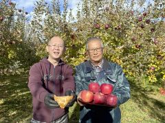 秋の風物詩、サクサクのアップルパイ　芽室の菓子のまさおかと松下リンゴ園がコラボ