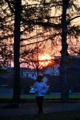 立冬(金野和彦撮影)