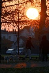 立冬(金野和彦撮影)