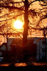 早朝の朝日を浴びて園内を犬と散歩をする市民(7日午前6時20分ごろ、帯広市緑ヶ丘公園で。金野和彦撮影)