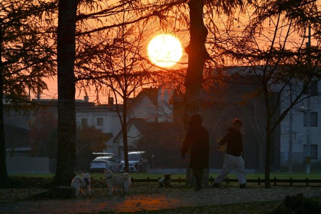 青空広がる十勝の「立冬」　北風吹くも気温高く