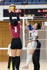 【女子準々決勝・帯南商―旭川実】左サイドからスパイクを放つ帯南商の齋藤優芽